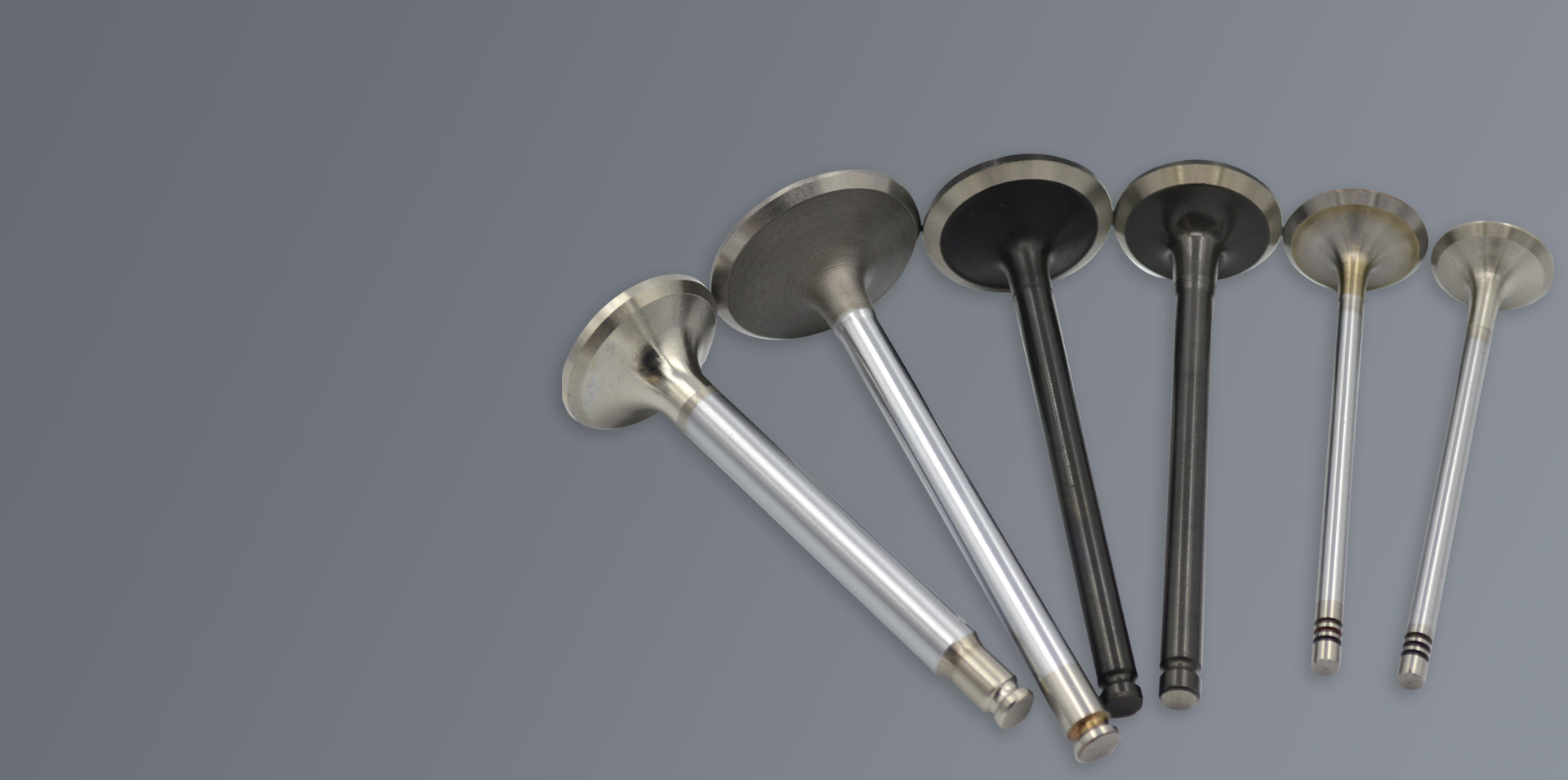 Interior shop 2 Interior shop -Interior shop banner4 1